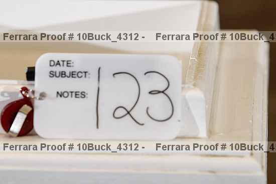 Proof 10buck_4312