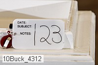10buck_4312 proof