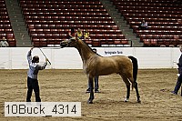 10buck_4314 proof