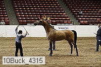 10buck_4315 proof