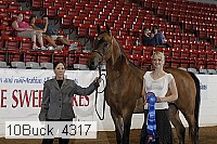 10buck_4317 proof