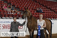 10buck_4318 proof
