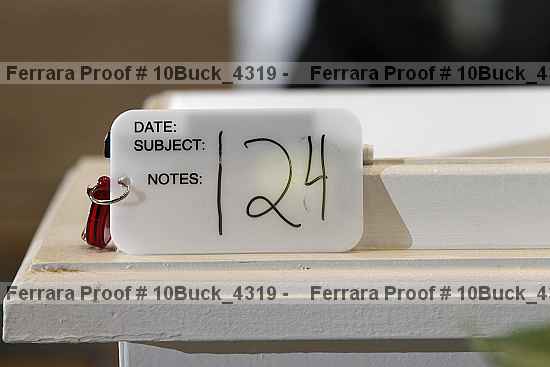 Proof 10buck_4319
