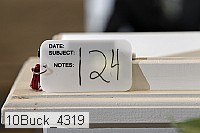 10buck_4319 proof