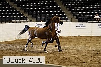 10buck_4320 proof