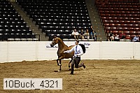 10buck_4321 proof