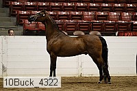 10buck_4322 proof