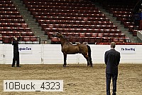 10buck_4323 proof
