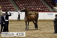 10buck_4326 proof