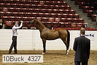 10buck_4327 proof