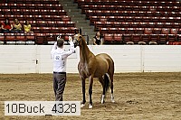 10buck_4328 proof