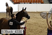 10buck_4330 proof