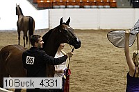 10buck_4331 proof