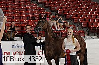 10buck_4332 proof