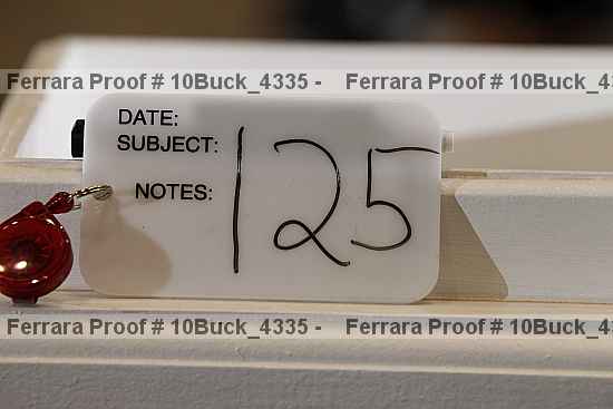 Proof 10buck_4335
