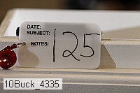 10buck_4335 proof