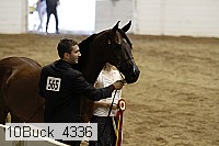 10buck_4336 proof