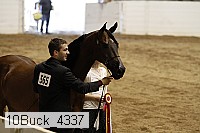 10buck_4337 proof