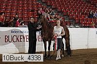 10buck_4338 proof