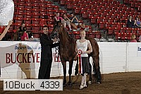 10buck_4339 proof