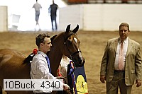 10buck_4340 proof