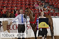 10buck_4341 proof