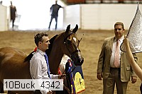 10buck_4342 proof