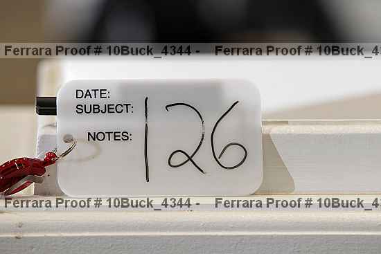 Proof 10buck_4344