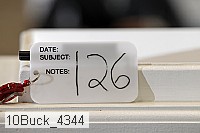 10buck_4344 proof