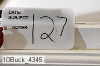 10buck_4345 proof