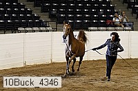 10buck_4346 proof