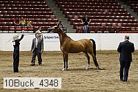 10buck_4348 proof