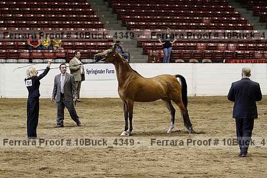 Proof 10buck_4349