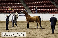 10buck_4349 proof