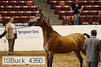 10buck_4350 proof