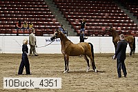 10buck_4351 proof