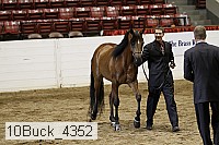 10buck_4352 proof