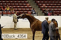 10buck_4354 proof