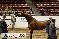 10buck_4355 proof
