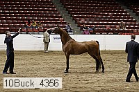 10buck_4356 proof