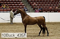 10buck_4357 proof