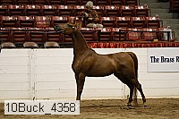 10buck_4358 proof