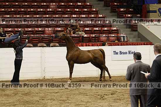 Proof 10buck_4359