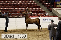 10buck_4359 proof