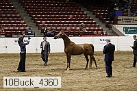 10buck_4360 proof