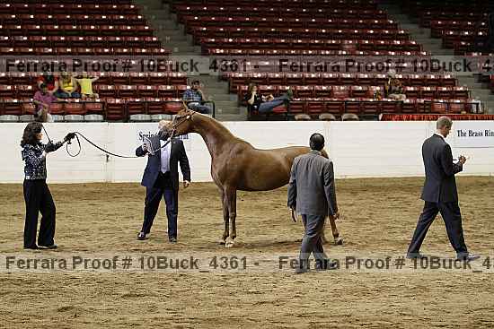 Proof 10buck_4361