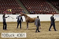 10buck_4361 proof