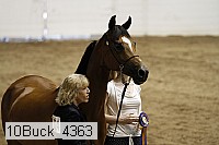 10buck_4363 proof