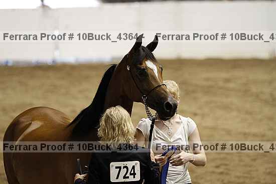 Proof 10buck_4364