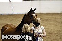 10buck_4364 proof